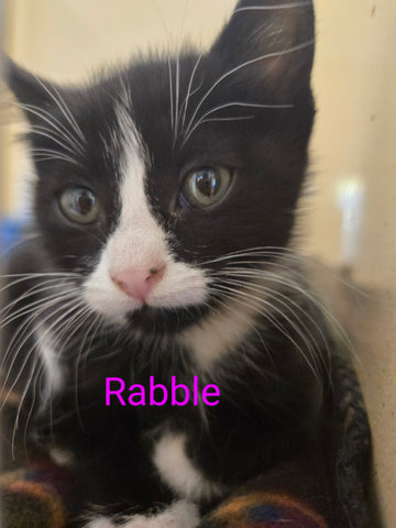 Rabble