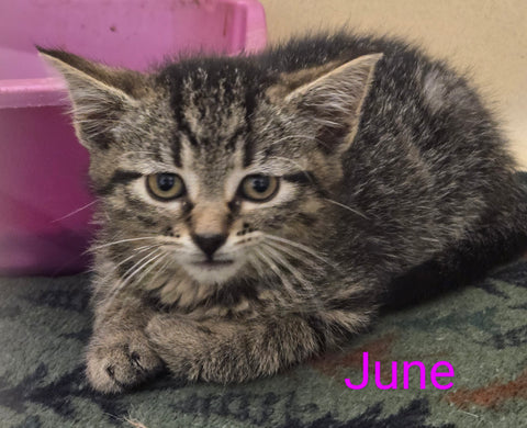 June