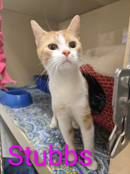 Stubbs