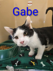 Gabe