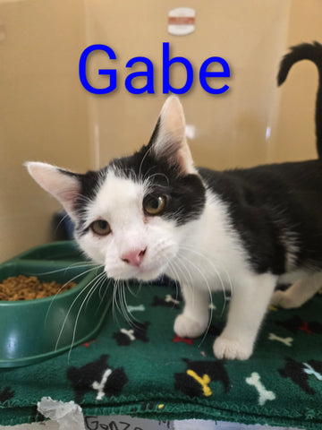Gabe