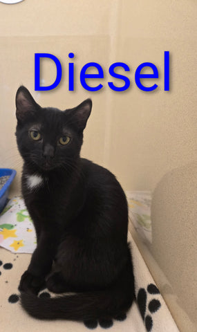 Diesel