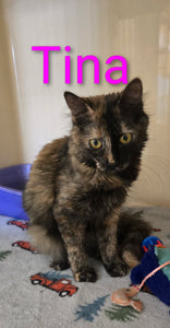 Tina