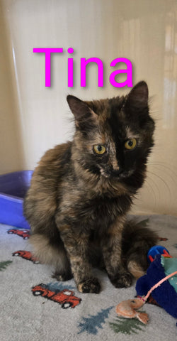 Tina