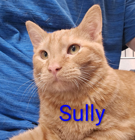 Sully