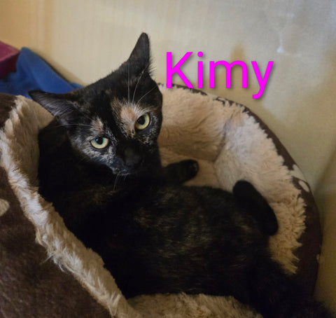 Kimy