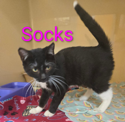 Socks