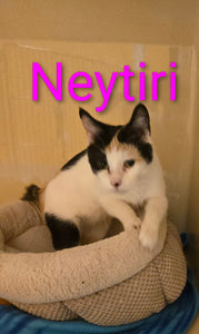 Neytiri