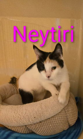 Neytiri