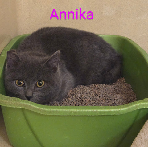 Annika