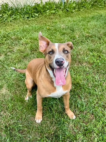 Cooper