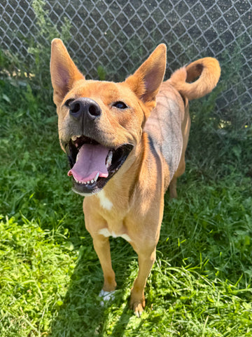 Coco