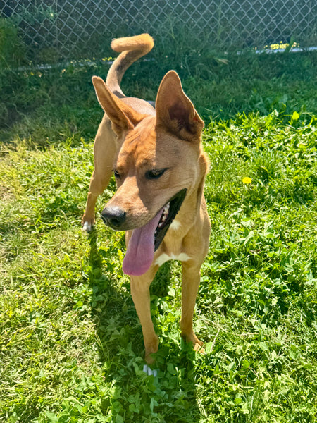 Coco