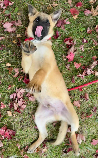 Jim