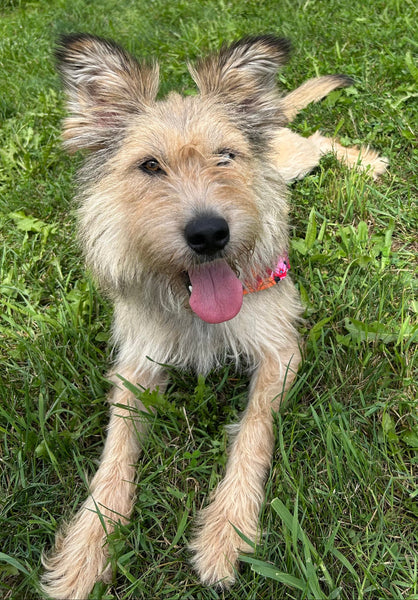 Lucy