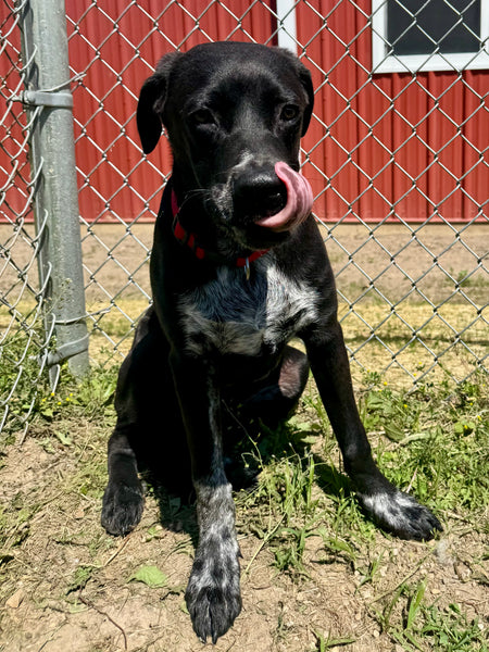 Max