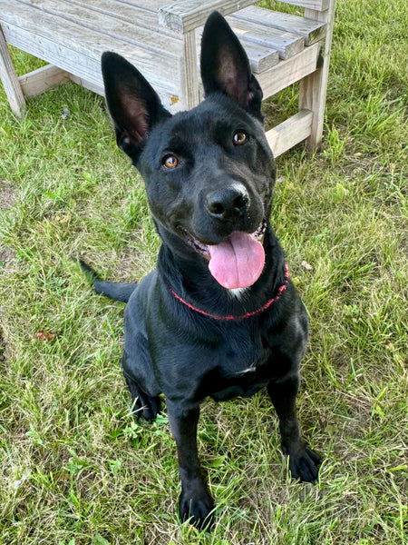 Luna