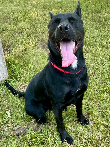 Luna