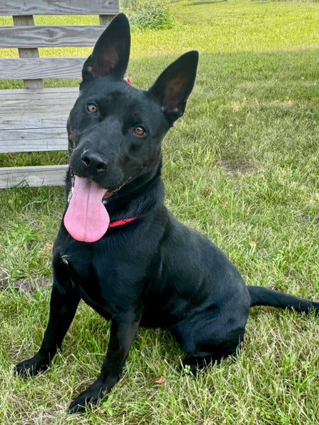 Luna