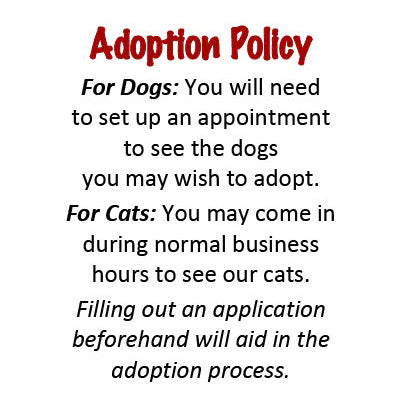 2022 Adoption Policy