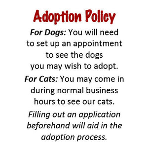2022 Adoption Policy
